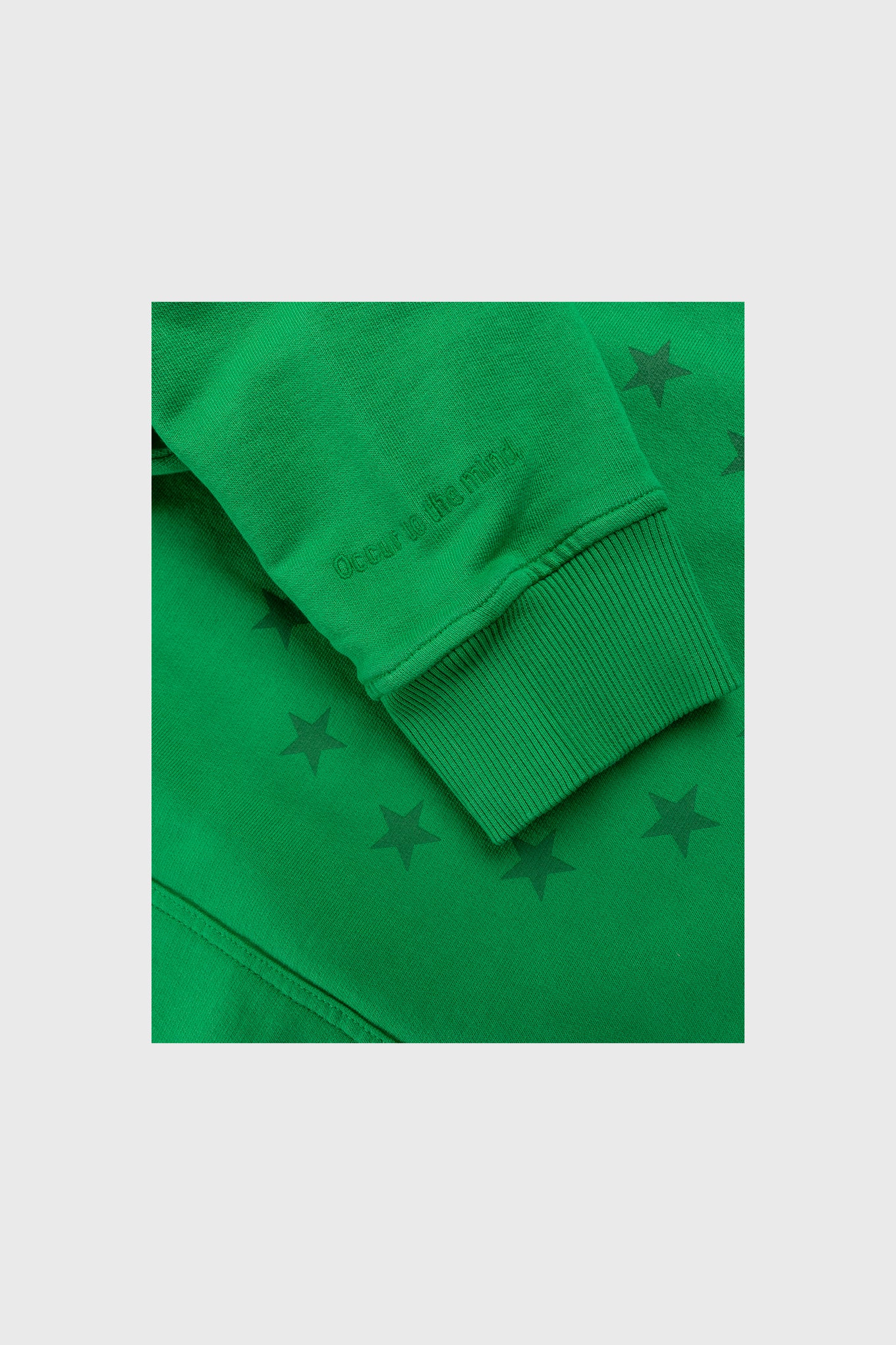 Eunify G-dye Hoodie Fern